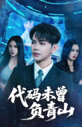代码未曾负青山