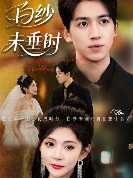 老婆婚礼我当证婚人 白纱未垂时