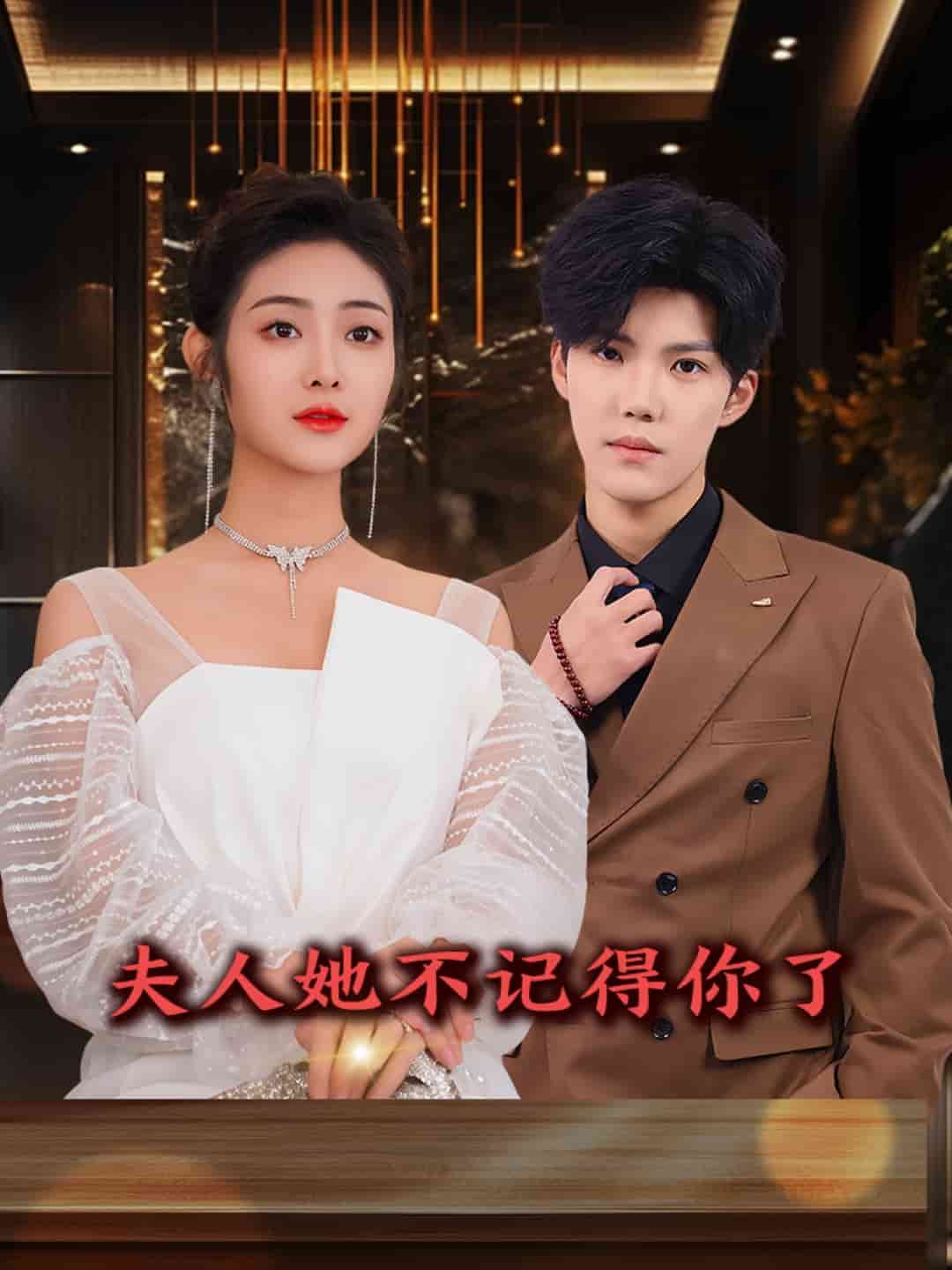 夫人她不记得你了