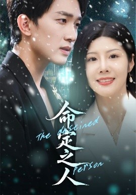 命定之人短剧