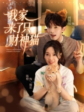 我家来了只财神猫