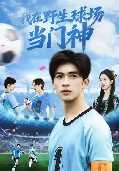 我在野生球场当门神